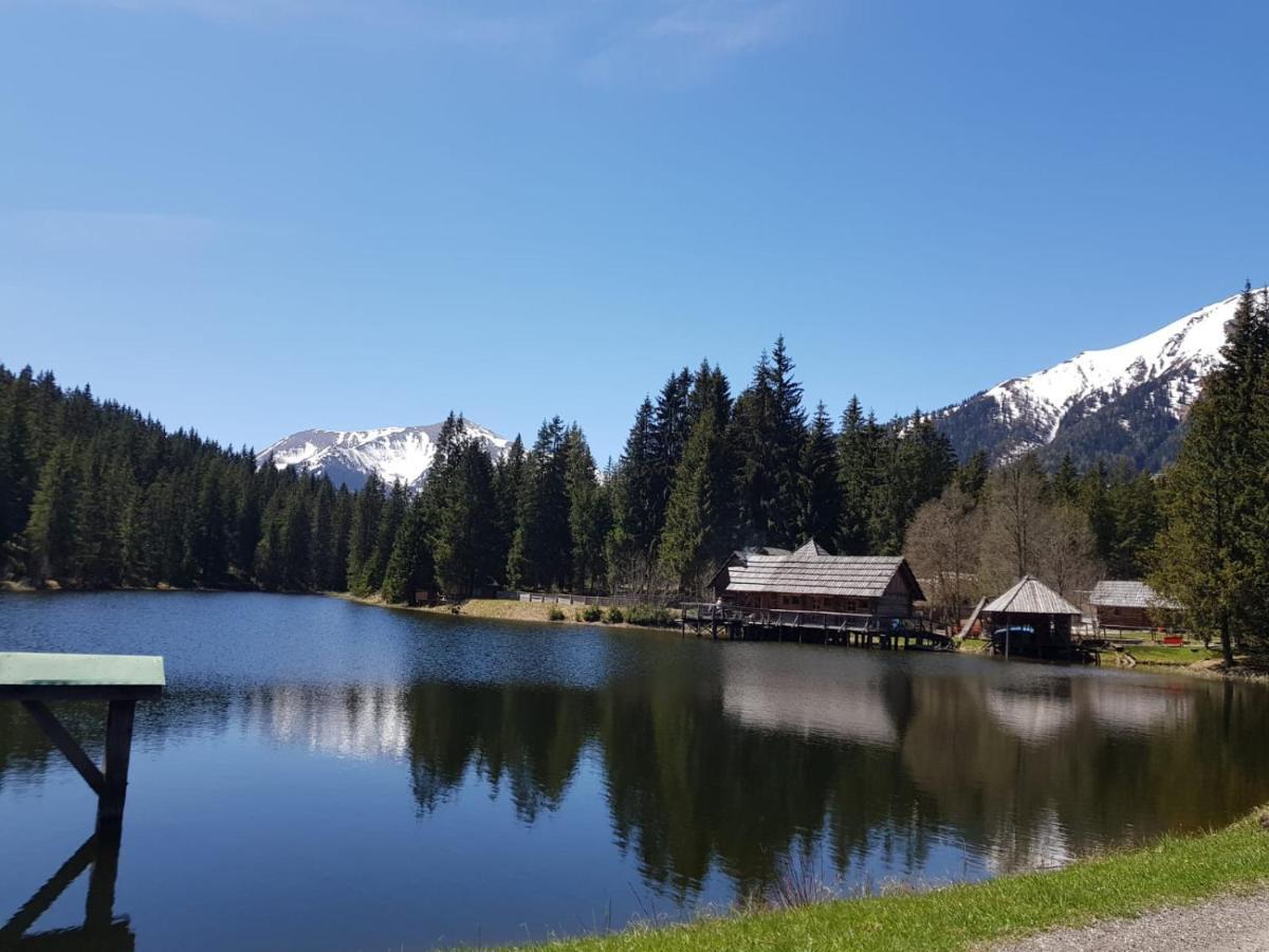 Milena-Huette Villa Hohentauern Exteriör bild