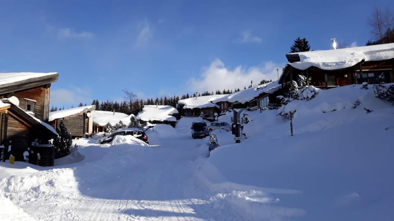 Milena-Huette Villa Hohentauern Exteriör bild